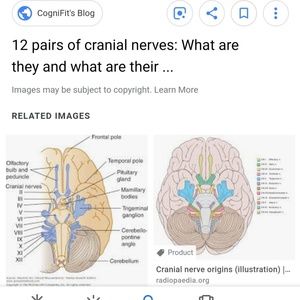 Meet your Posher, Relindis